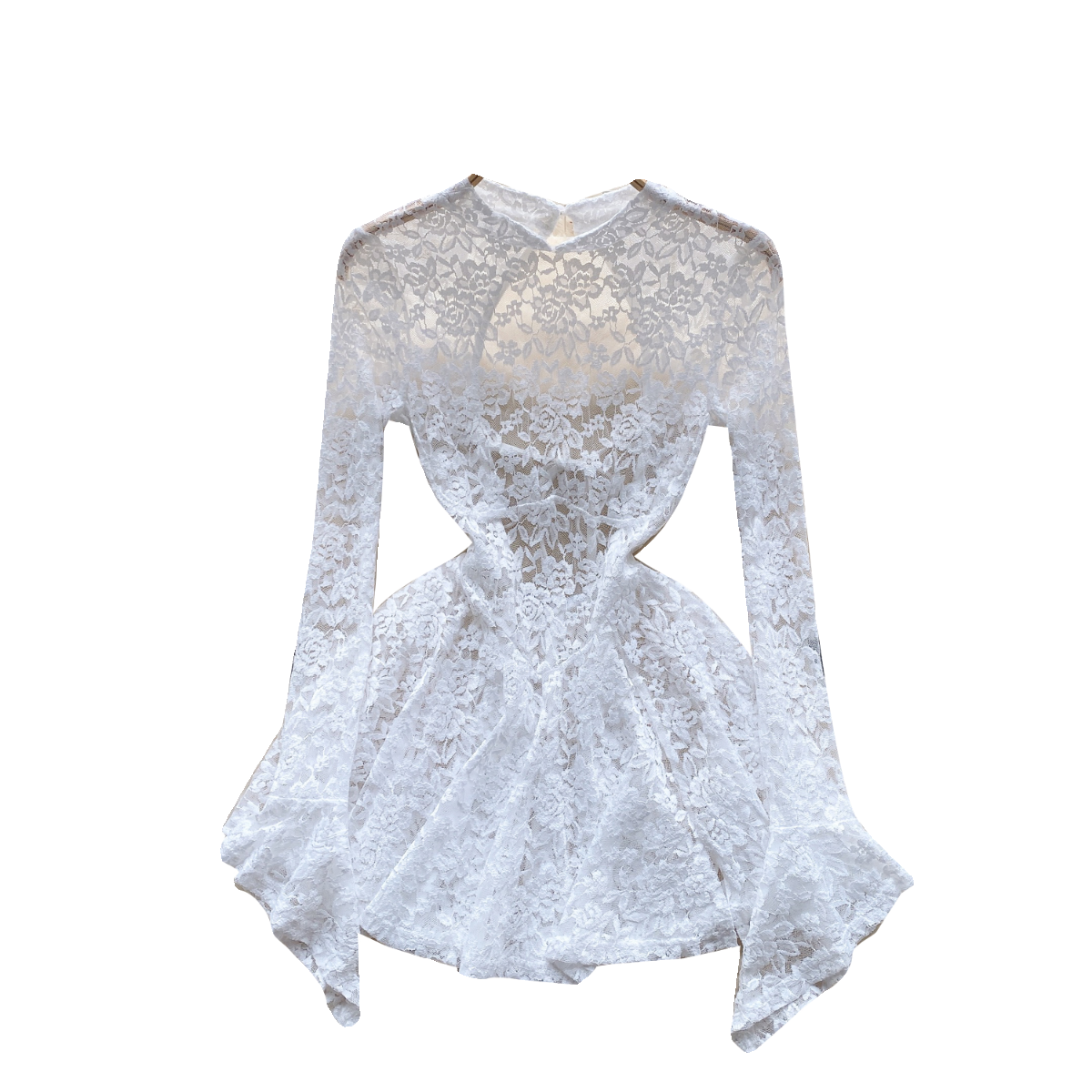 Fairy Hollowed Lace Flared Sleeve Dress