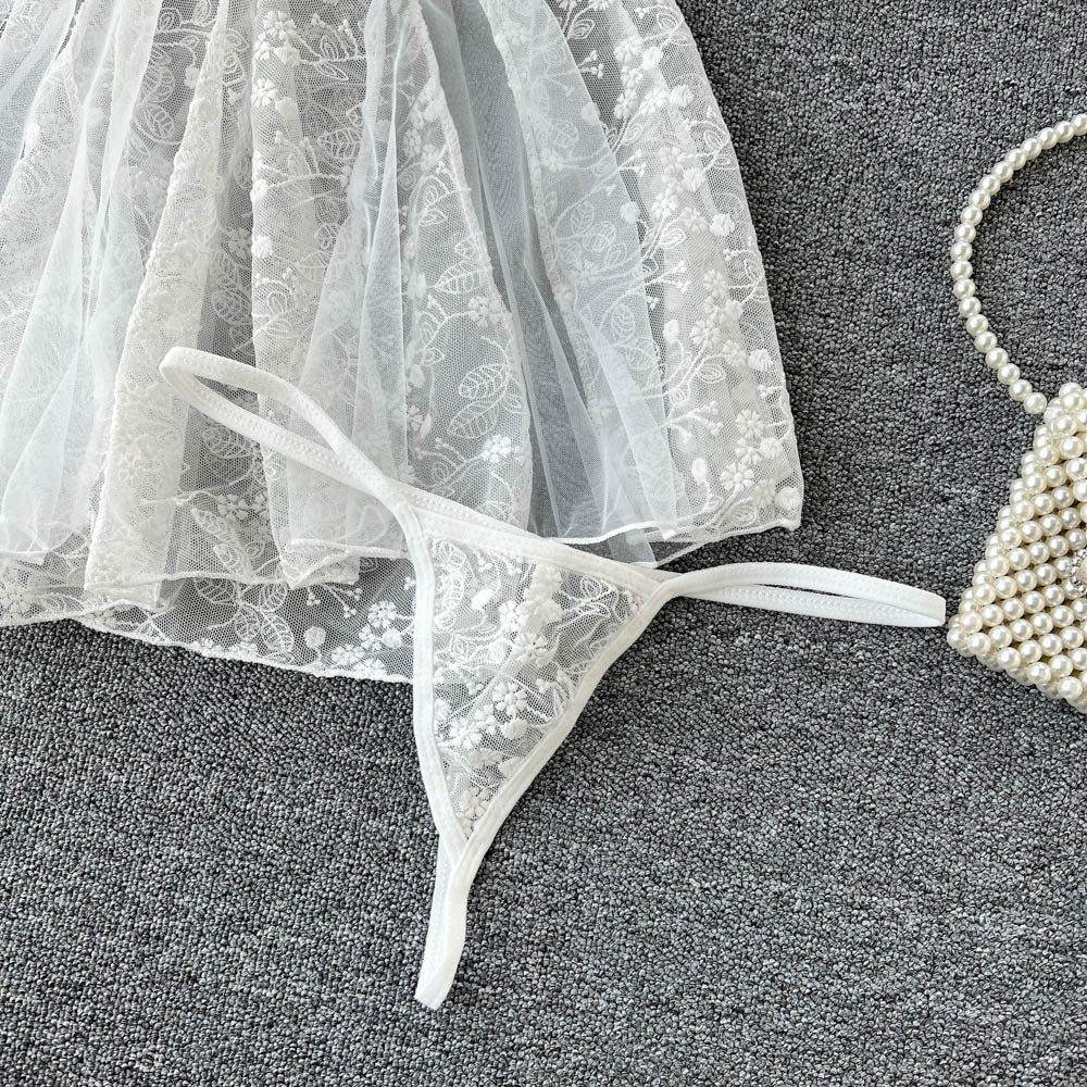Lace Embroidered See-through Slip Dress
