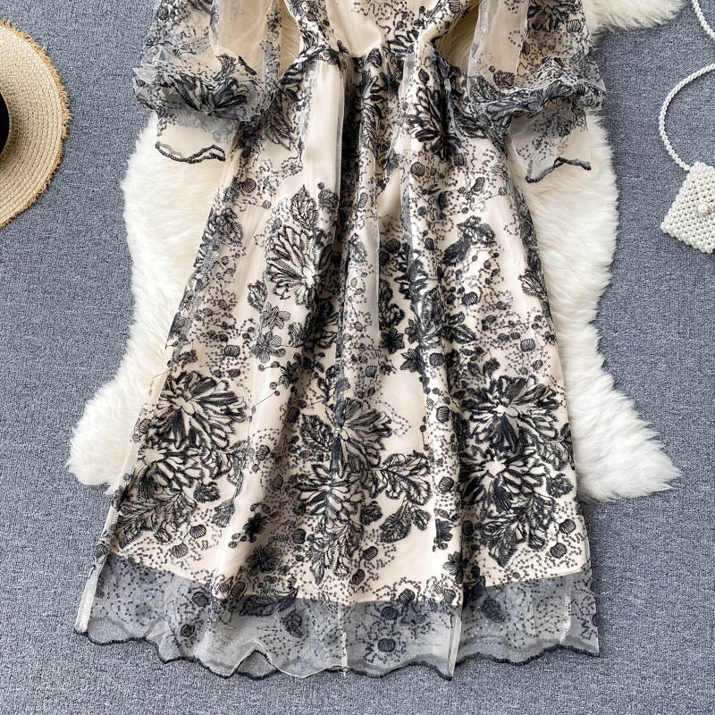 Delicate Embroidered Mesh Party Dress