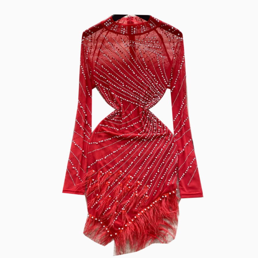 Rhinestone Studded Fringed Mesh Dress