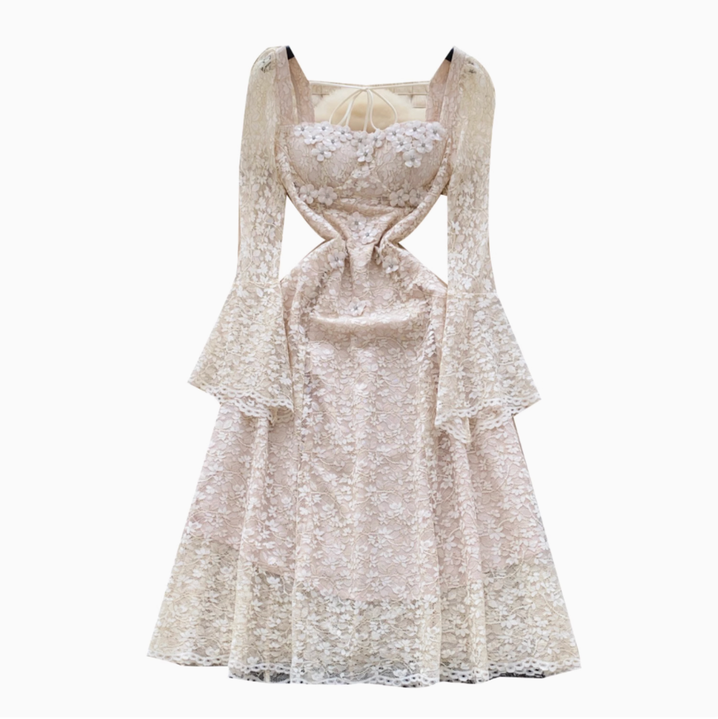 3D Floral Beaded Hollowed Lace Dress