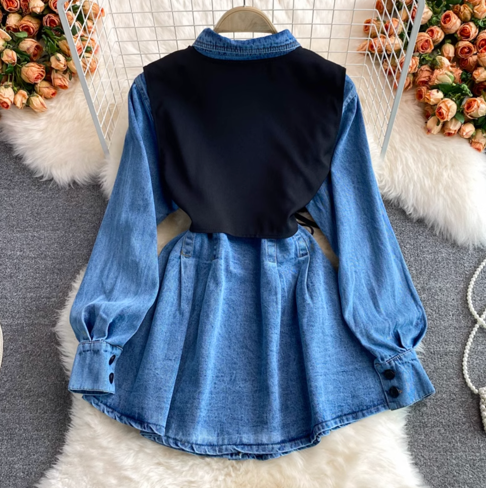 Chic Knitted Vest & Denim Dress 2Pcs