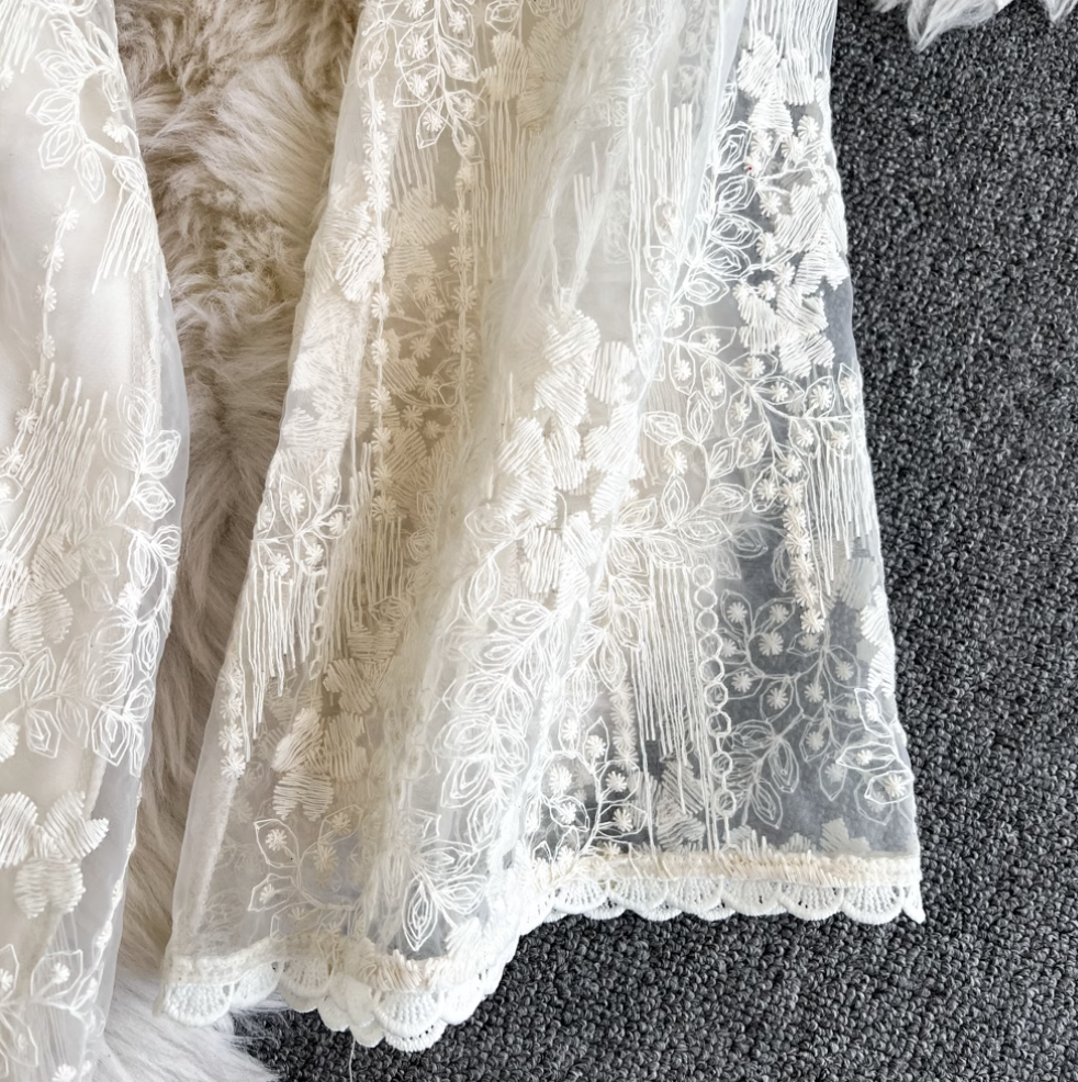 Courtly Embroidered Apricot Lace Dress