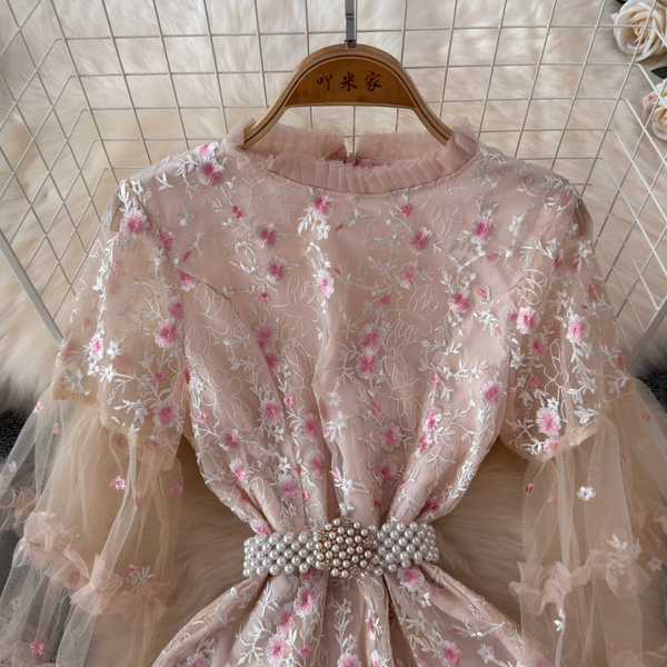 Pink Embroidered Princess Dress