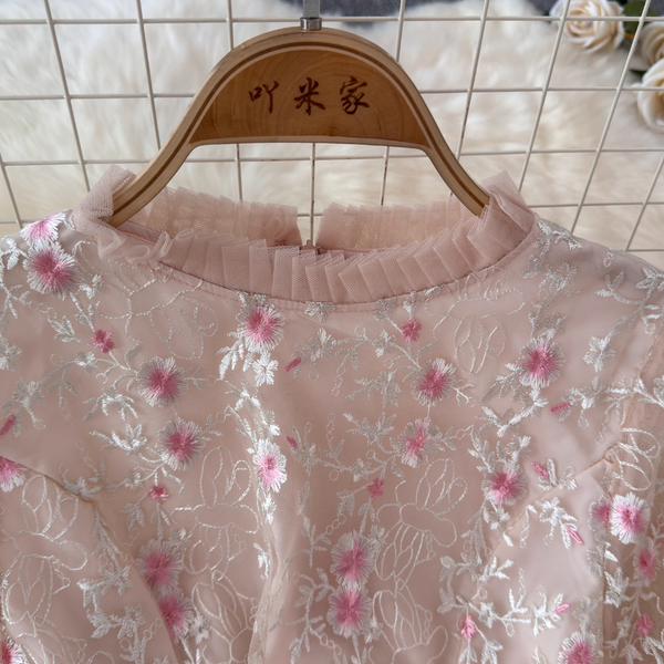 Pink Embroidered Princess Dress
