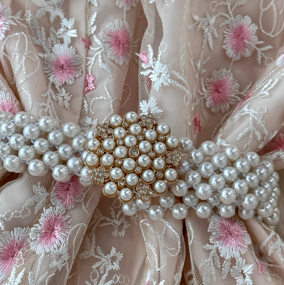 Pink Embroidered Princess Dress