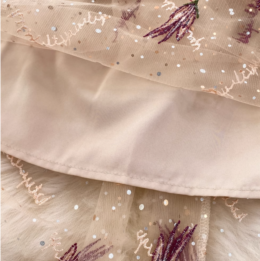 Fairy Sequined Embroidered Mesh Dress
