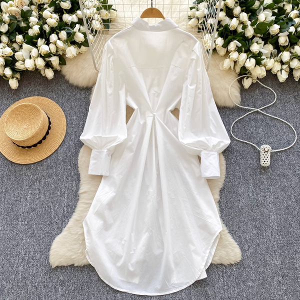 Simple Design White Shirt Dress