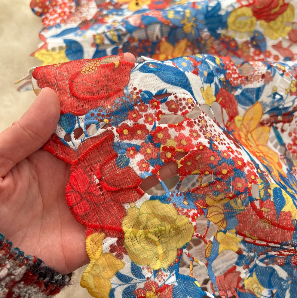 Crochet Floral Printed Lace Dress