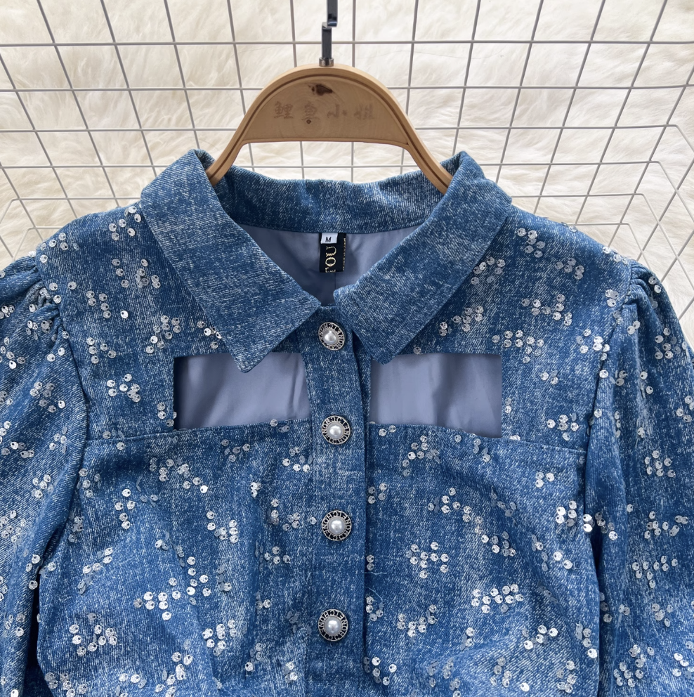 Sequined Embroidery Puffy Denim Dress