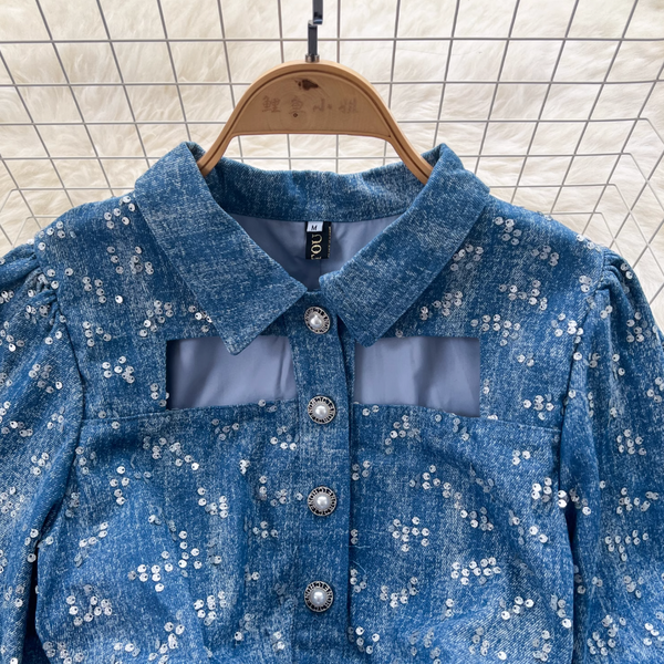 Sequined Embroidery Puffy Denim Dress