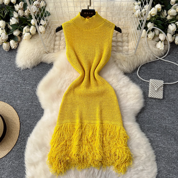 Simple Design Fringed Knitted Dress