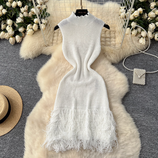 Simple Design Fringed Knitted Dress