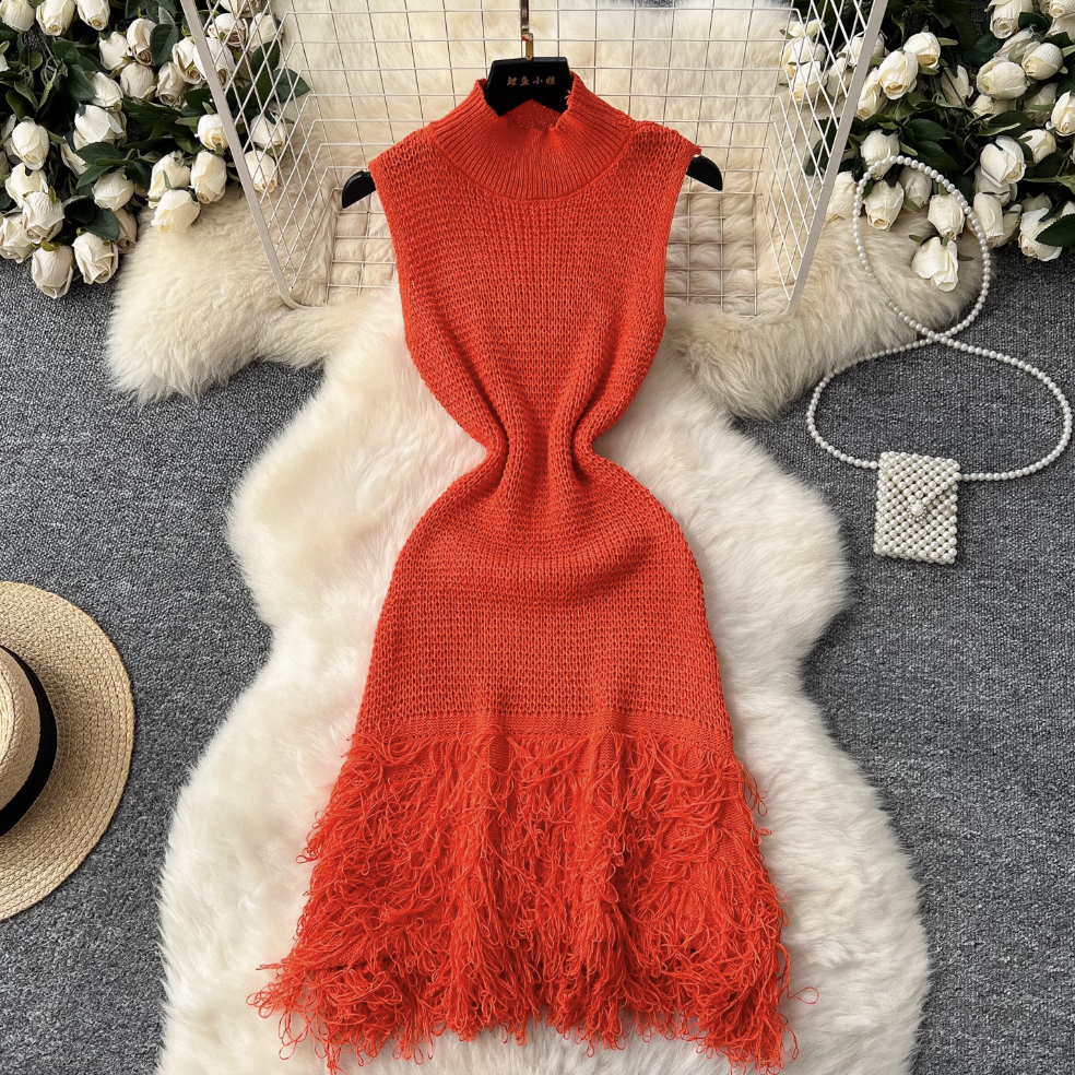 Simple Design Fringed Knitted Dress