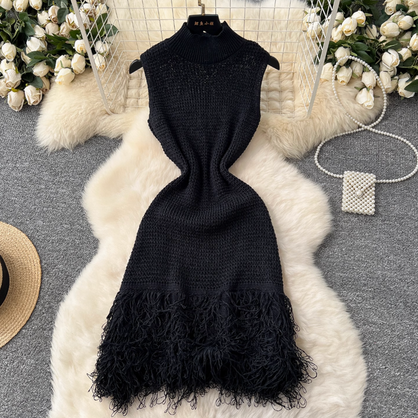 Simple Design Fringed Knitted Dress