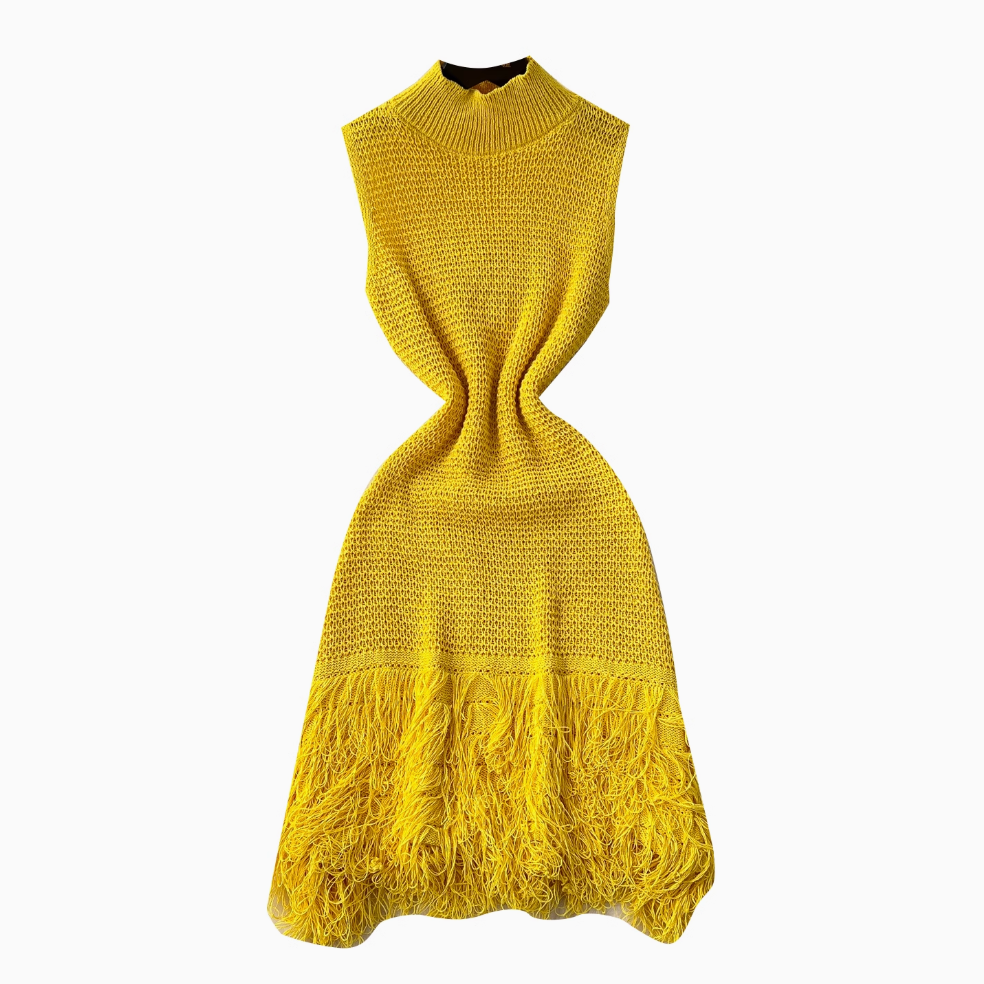 Simple Design Fringed Knitted Dress