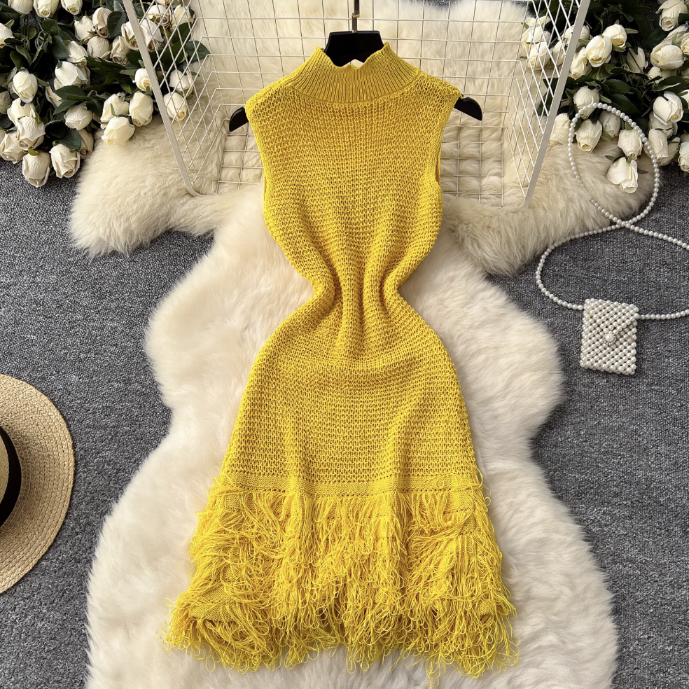 Simple Design Fringed Knitted Dress