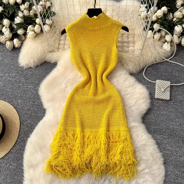 Simple Design Fringed Knitted Dress