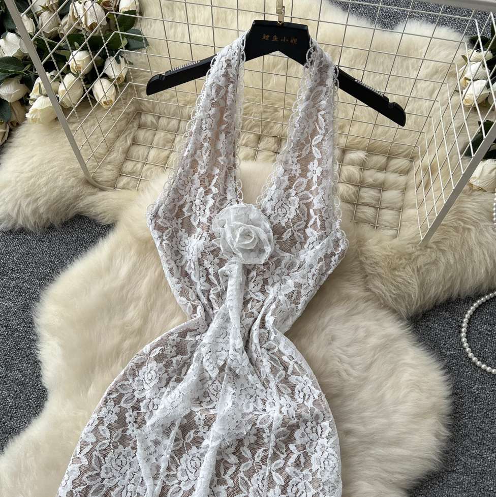 Embroidered Lace Backless Halter Dress