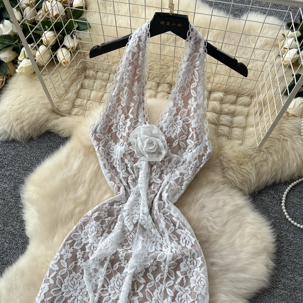 Embroidered Lace Backless Halter Dress