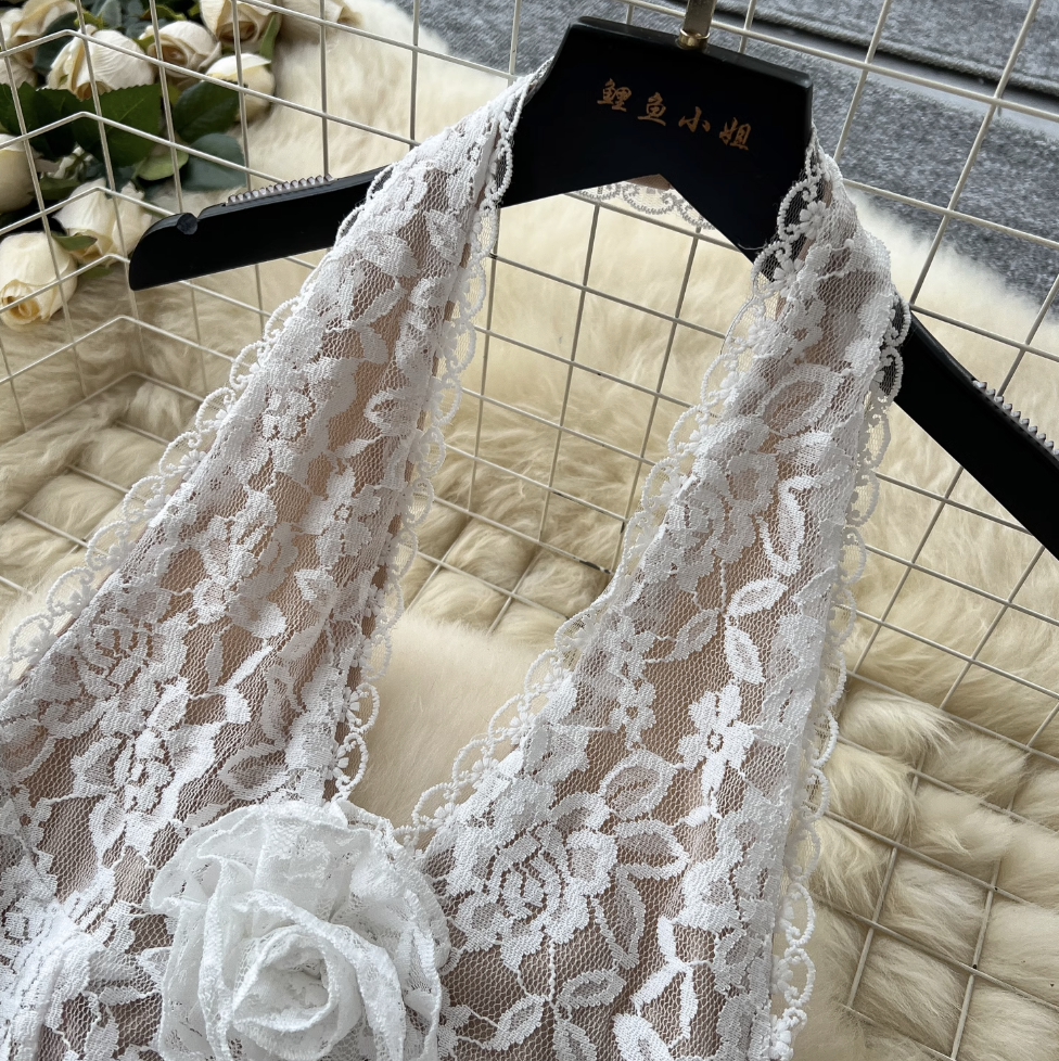 Embroidered Lace Backless Halter Dress