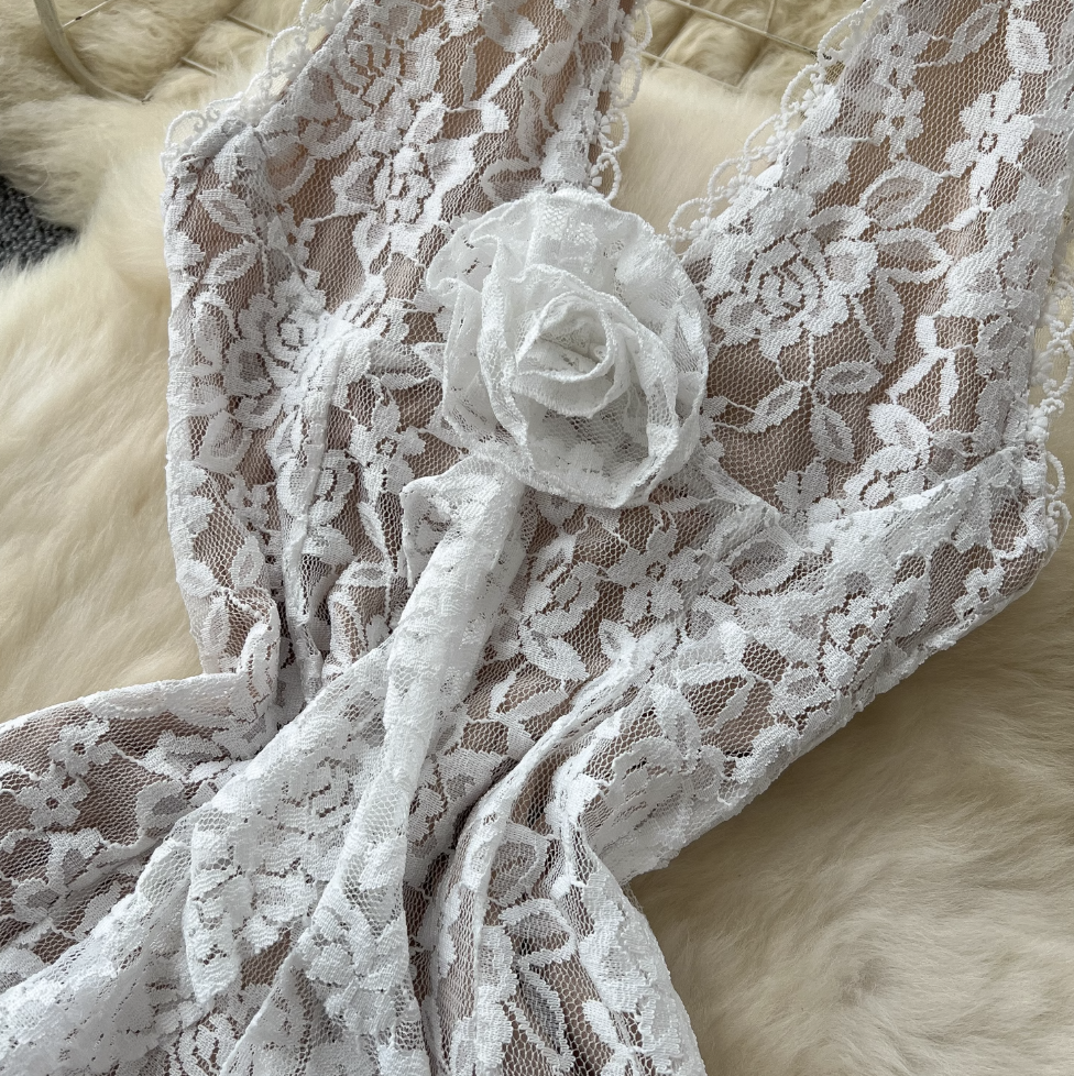Embroidered Lace Backless Halter Dress