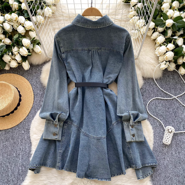 Chic Denim Shirt Dress with Belt