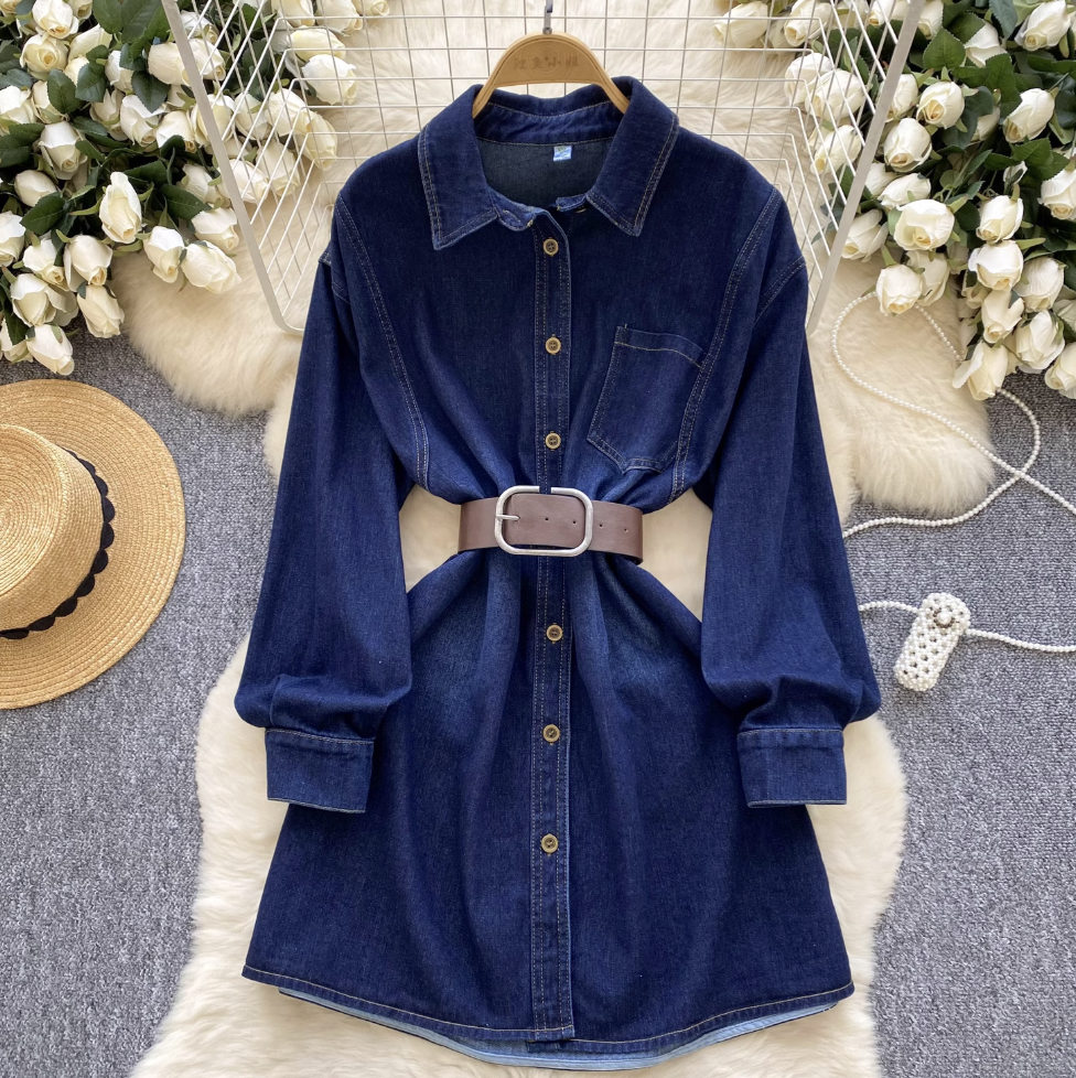 Vintage Blue Denim Shirt Dress