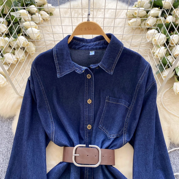 Vintage Blue Denim Shirt Dress