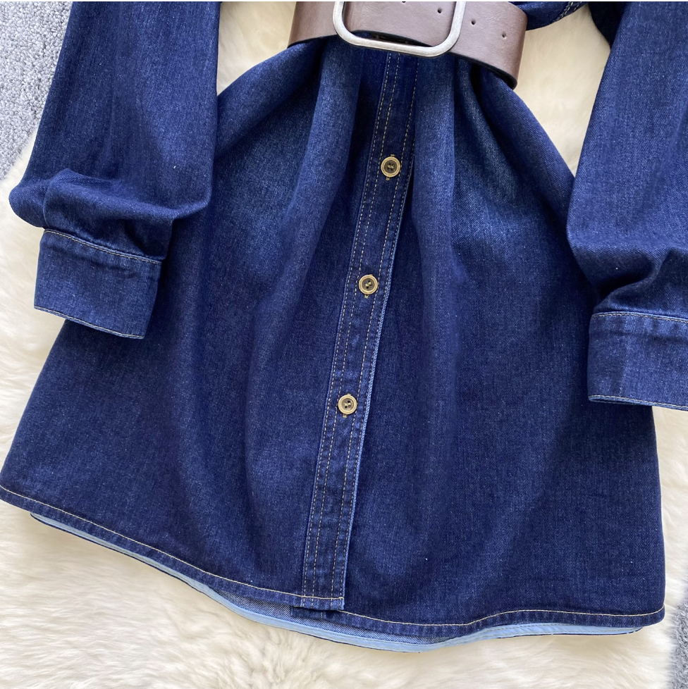 Vintage Blue Denim Shirt Dress