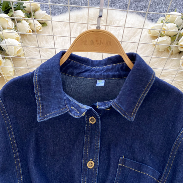 Vintage Blue Denim Shirt Dress
