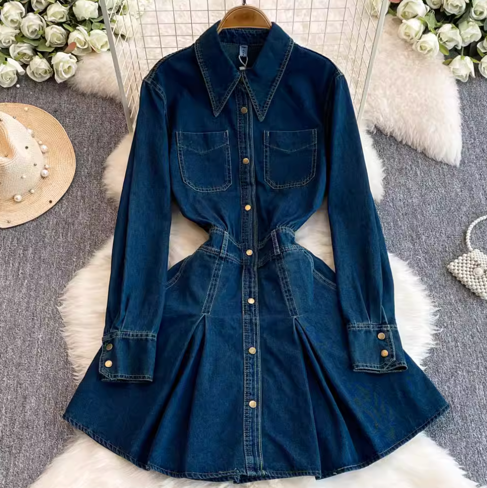 Pointed Collar Denim Pleated Dress