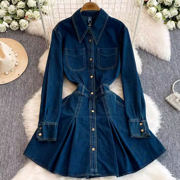 Pointed Collar Denim Pleated Dress