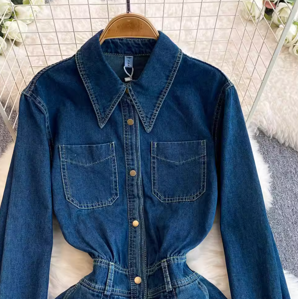 Pointed Collar Denim Pleated Dress
