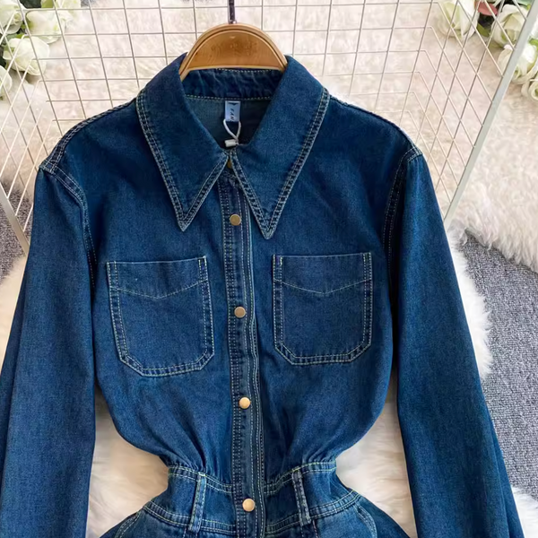 Pointed Collar Denim Pleated Dress