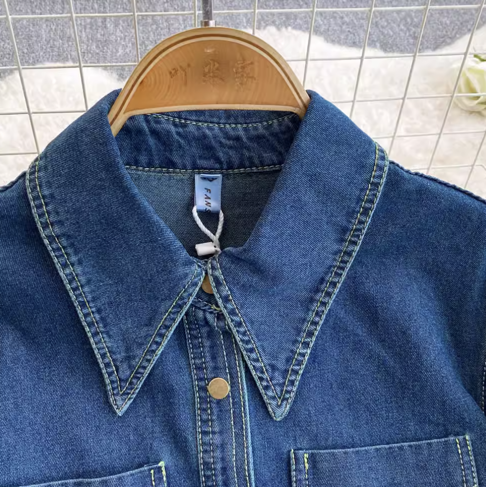 Pointed Collar Denim Pleated Dress