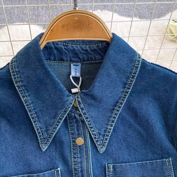 Pointed Collar Denim Pleated Dress