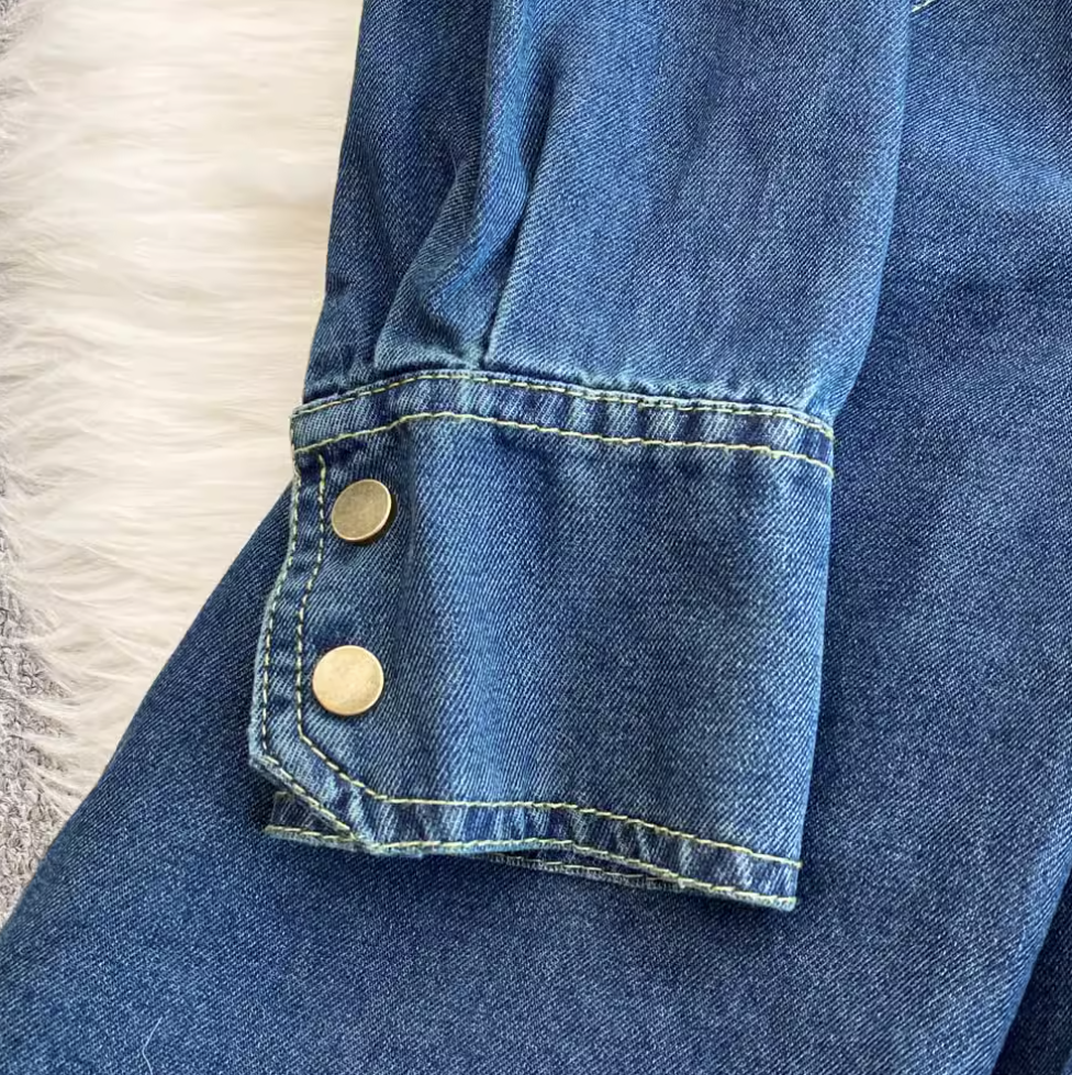 Pointed Collar Denim Pleated Dress