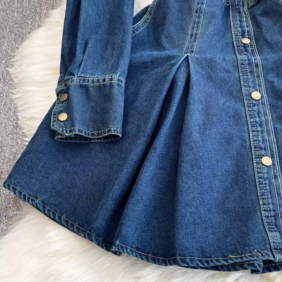 Pointed Collar Denim Pleated Dress