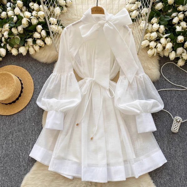Vintage Flared Sleeve Chiffon Dress