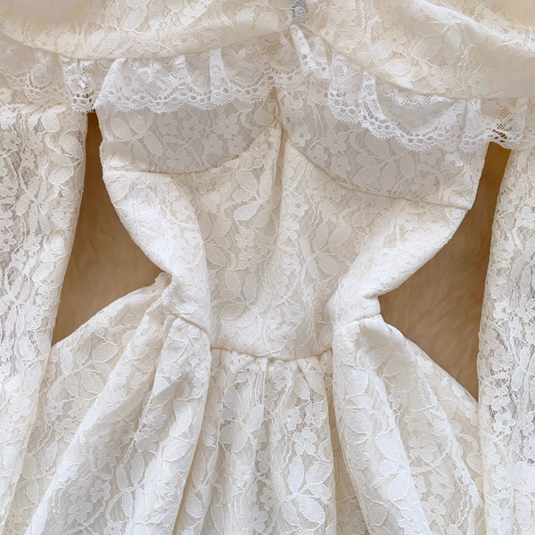 Niche Embroidery Lace Off-shoulder Dress