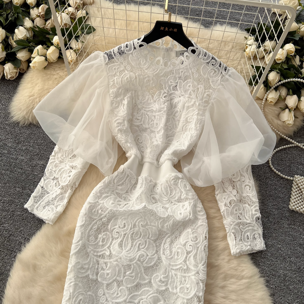 Elegant White Lace Embroidery Dress