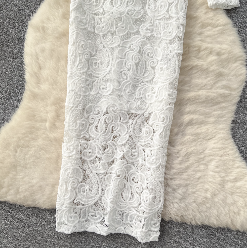 Elegant White Lace Embroidery Dress