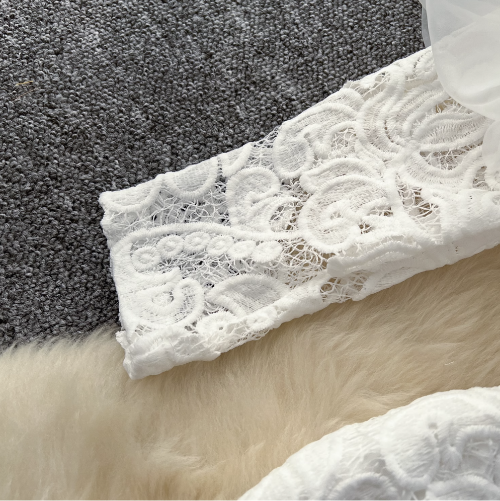 Elegant White Lace Embroidery Dress