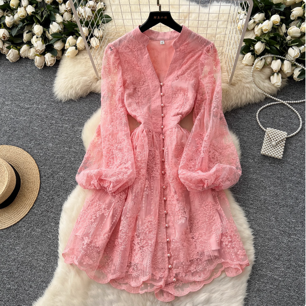 Floral Embroidery Mesh A-line Dress