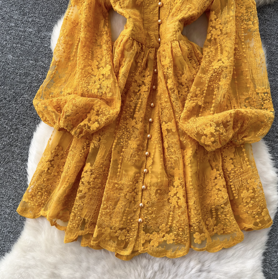 Floral Embroidery Mesh A-line Dress