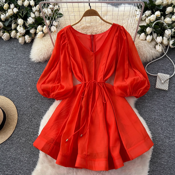 Vintage Flared Sleeve Puffy Dress
