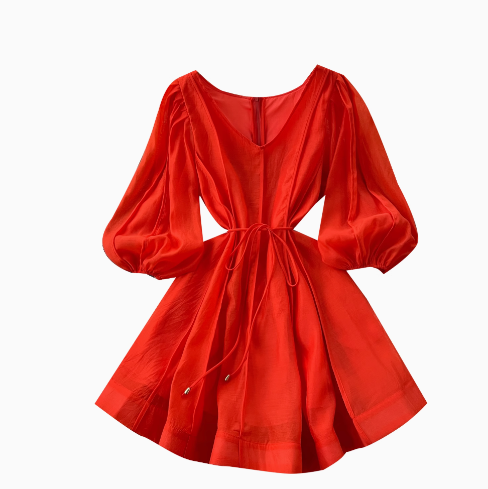 Vintage Flared Sleeve Puffy Dress
