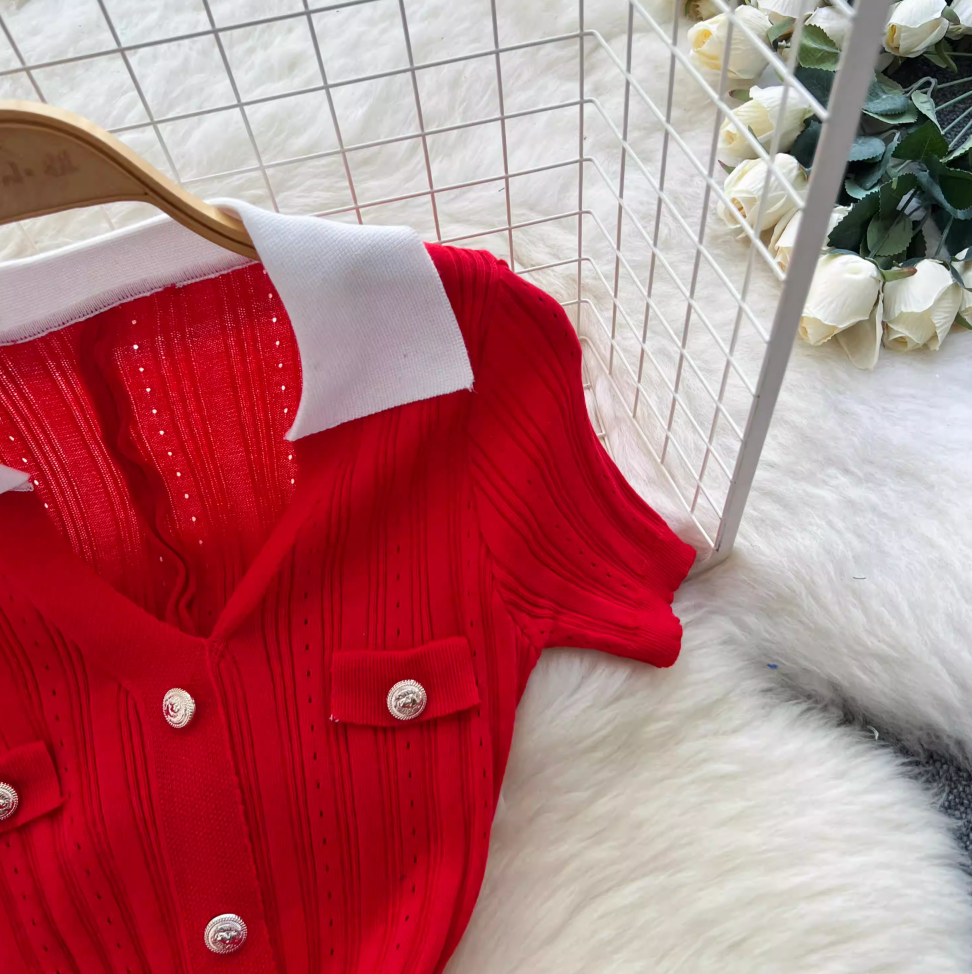 Vintage Polo Collar Hollowed Knitted Dress