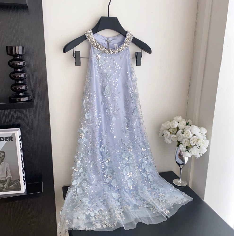 Beaded Sleeveless A-line Mesh Dress